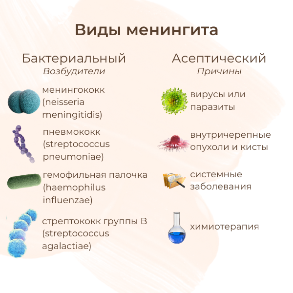 виды менингита